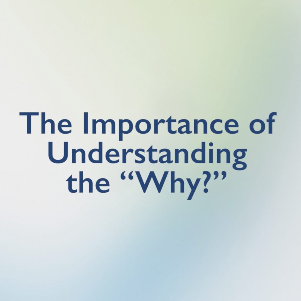The Importance of Understanding the "Why?"